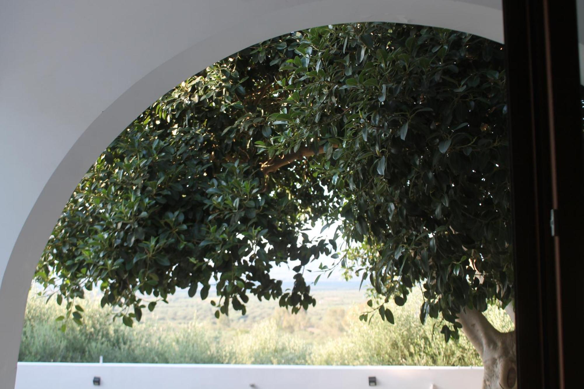 A Crystal Clear House In Pyrgos, Heraklion Crete Pirgos  Экстерьер фото